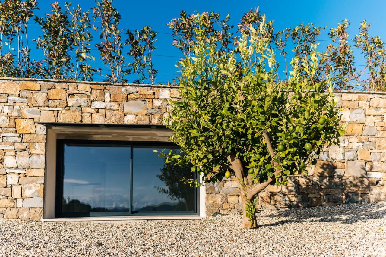 Villa Sabrina Riviera Dei Fiori A Picco Sul Mare Con Piscina Privata ,Wellness & Spa インペリア エクステリア 写真
